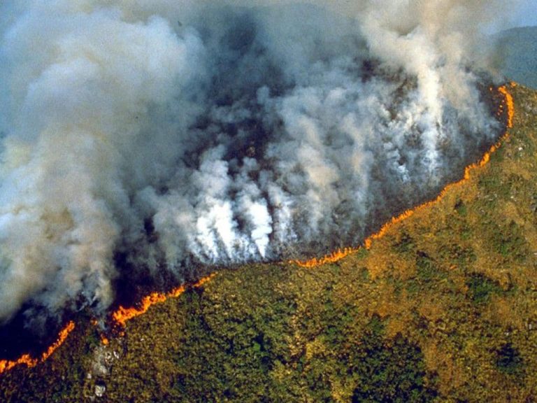 Incendi in Amazzonia, dura polemica su Twitter tra Bolsonaro e Macron