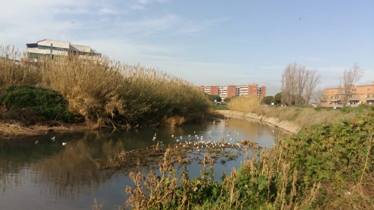 Ladispoli si aggiudica un finanziamento di mezzo milione di euro per mitigare il rischio di esondazione del fiume Vaccina