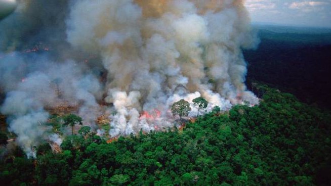 Brasile, anno record per gli incendi nella foresta amazzonica