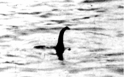Il mostro di Loch Ness? Potrebbe essere un’anguilla di grandi dimensioni