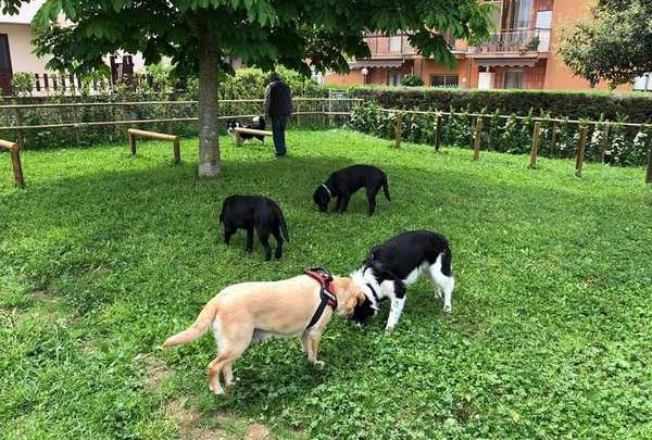 Fratelli d’Italia Cerveteri LiberaMente: “Necessaria area a sgambamento cani”