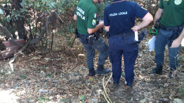 Canile abusivo al Sasso: maxi blitz di Polizia Locale e Guardie Ecozoofile