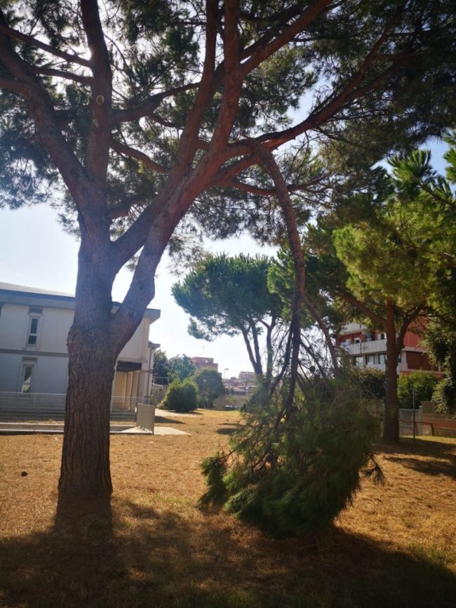 Alla Ladispoli 1 al via “Coloriamo la nostra scuola”