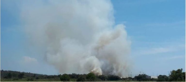 Gallipoli (Lecce), incendio nell’area di canneto