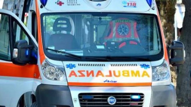 Sesto Fiorentino (Firenze), cane aggredisce una mamma e un bimbo: ferite lieve per entrambi