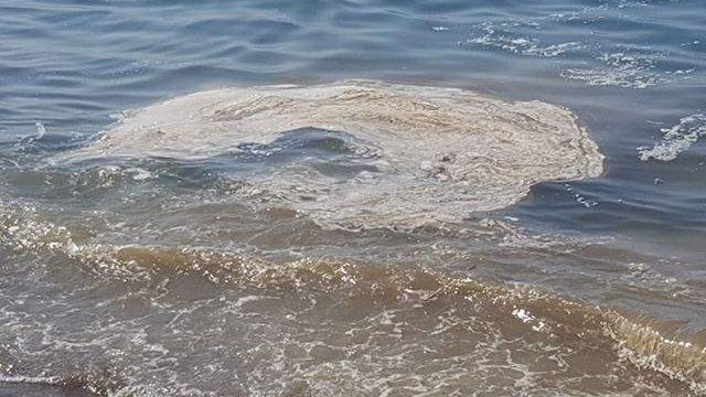 Liquami in mare e odori nauseabondi presso Marina di Palo a Ladispoli