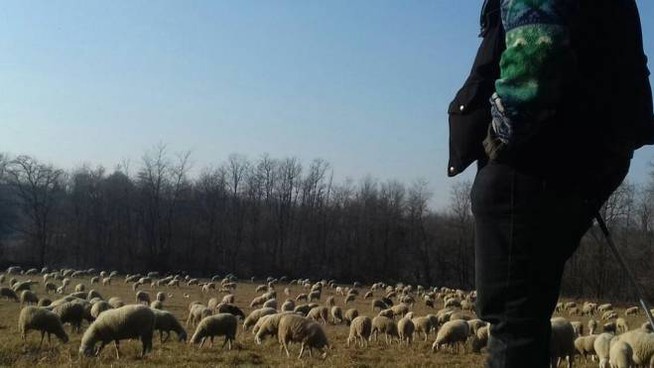 Tuturano (Brindisi), pastore del Gambia ridotto in schiavitù: due persone in manette