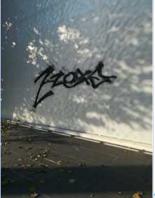 Cerenova: imbrattate le mura della stazione