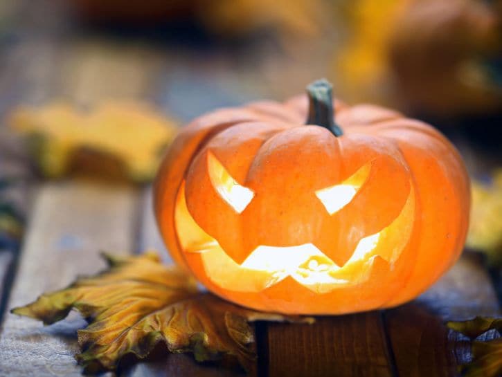 Al via la settimana di Halloween, guida all’acquisto delle zucche di qualità