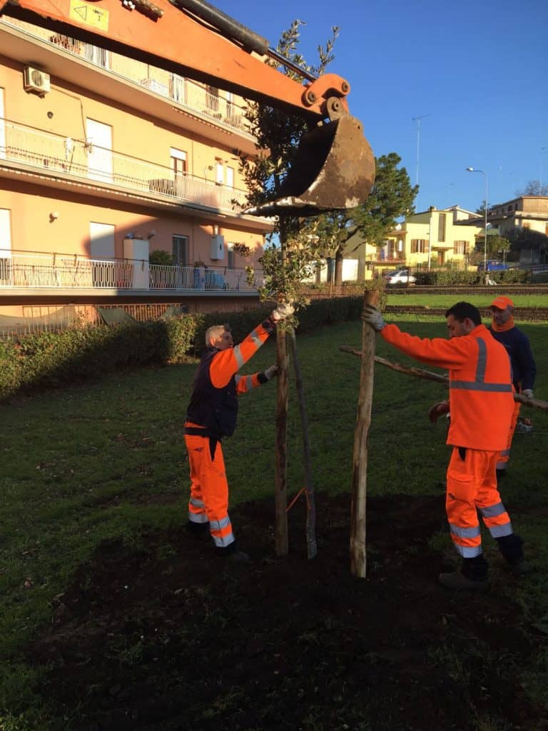 Cerveteri: Multiservizi pubblica la programmazione degli interventi della prima settimana di novembre