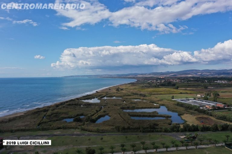 Palude di Torre Flavia, le dune del Fratino sono monitorate