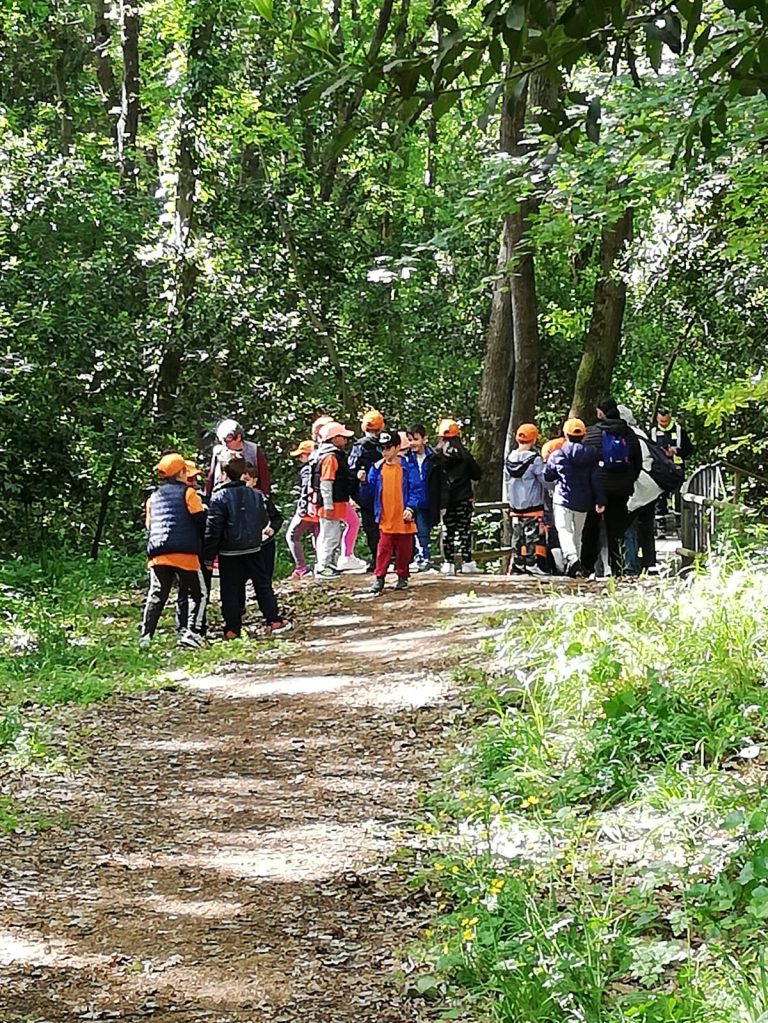 Una domenica nel Bosco di Valcanneto