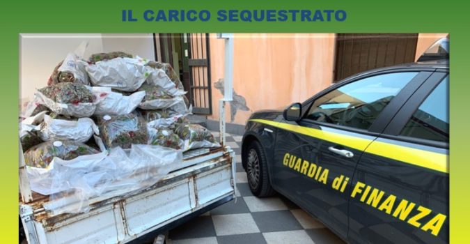 Catania, sequestrati 41 chili di marijuana del tipo “skunk” coltivata in Olanda: un arresto