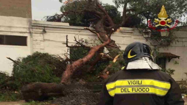 Malerba (Bari), muore 80enne colpito alla testa da un grosso ramo spezzato dal forte vento
