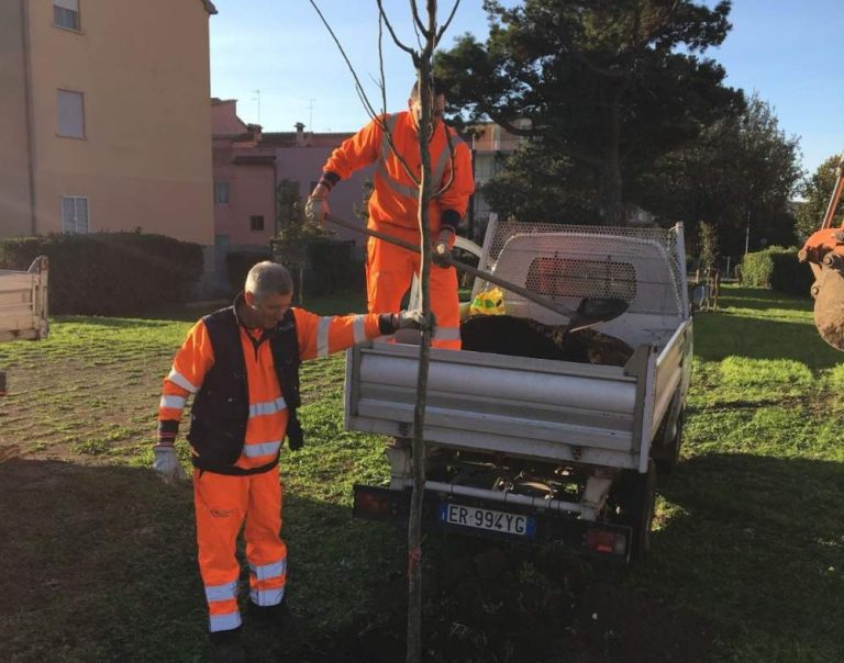 Cerveteri: la Multiservizi pubblica la programmazione degli interventi della prima settimana di marzo