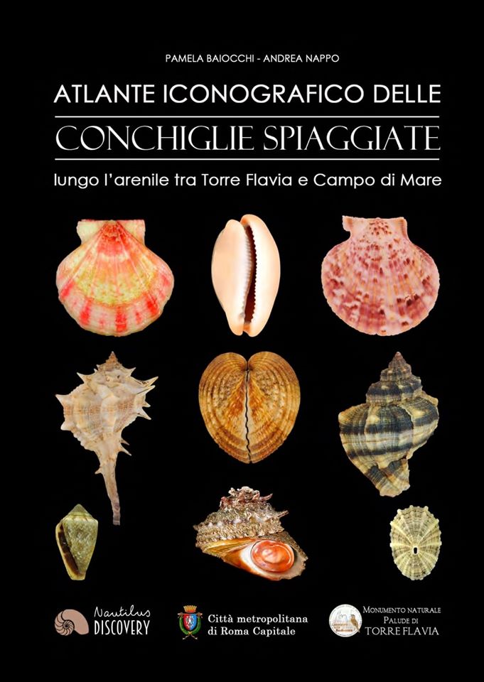 Pamela Baiocchi pubblica il primo Atlante Iconografico delle Conchiglie tra Torre Flavia e Campo di Mare
