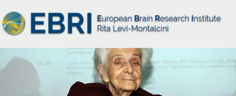 Salute, i ricercatori della Fondazione Ebri Montalcini hanno scoperto la molecola che blocca l’Alzheimer
