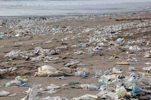 Ambiente, sulle spiagge europee 11mila tonnellate di rifiuti ogni anno della pesca e dell’acquacoltura