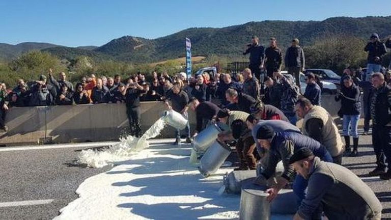 Oristano, indagati 250 pastori per le proteste sul prezzo del latte