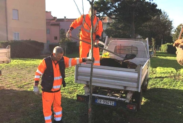 Verde Cerveteri, pubblicata la programmazione degli interventi