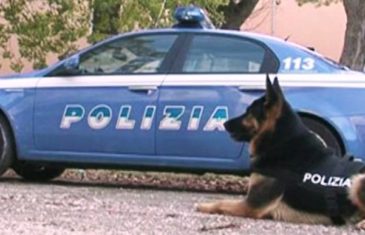 Torino, maxi sequestro di 72 chili di marijuana: arrestato un algerino