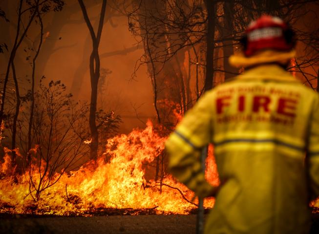 Australia, secondo il Guardian il governo sapeva dei rischi dei grandi incendi
