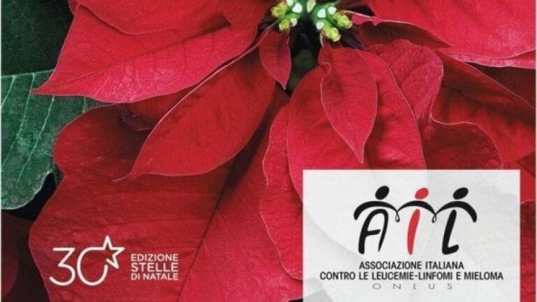 Solidarietà: in Piazza Aldo Moro tornano le Stelle di Natale dell’AIL