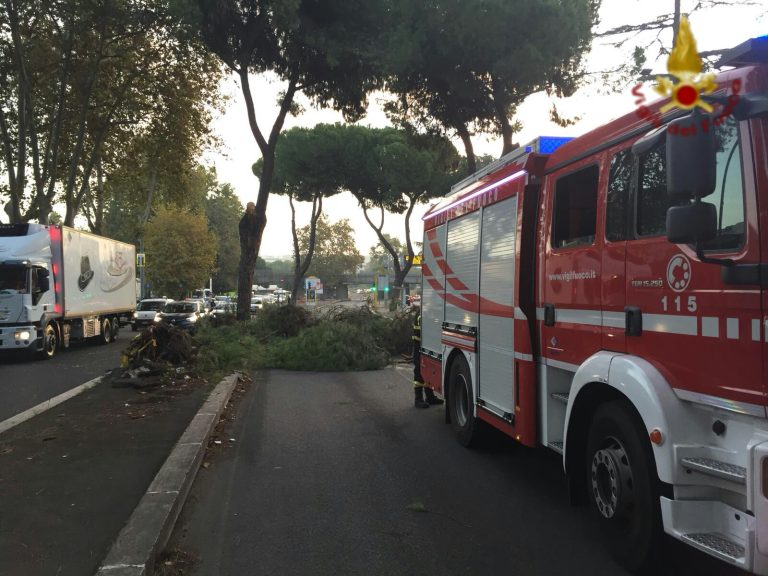Roma, 200 interventi dei vigili del fuoco per il forte vento