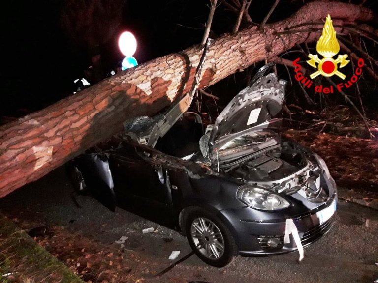 Maratea (Potenza), albero cade su un’auto: ferite due persone
