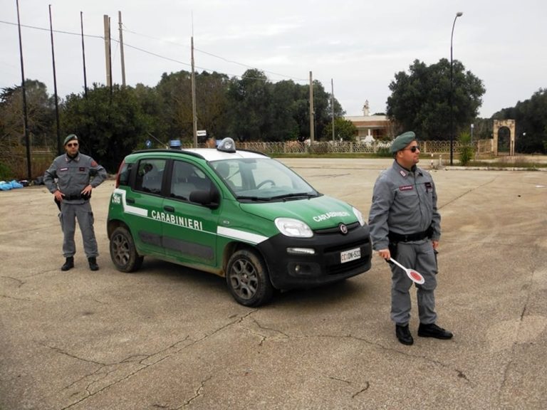 Caivano (Napoli), imprenditore di un’azienda di rifiuti è stato interdetto per un anno ad esercitare l’attività