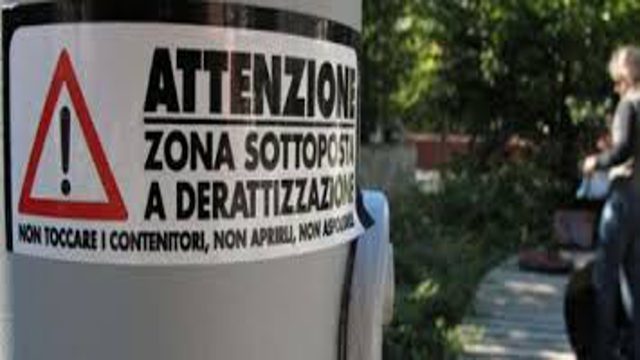 Ceppaloni (Benevento), allarme del sindaco Mastella: “Boom di topi nelle scuole”
