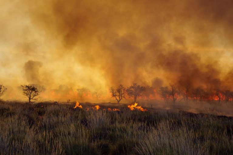 Australia, non si attenua l’emergenza incendi nel Paese: attivi almeno cento roghi