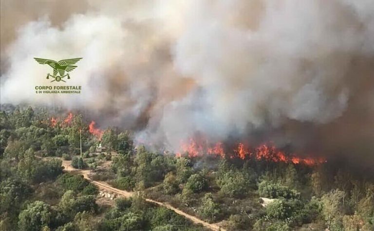 Como, due giovani a processo per aver causato un maxi incendio nel dicembre dello scorso anno