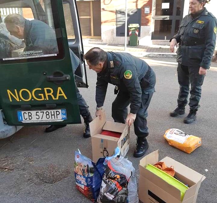 Nogra consegna il cibo per animali raccolto