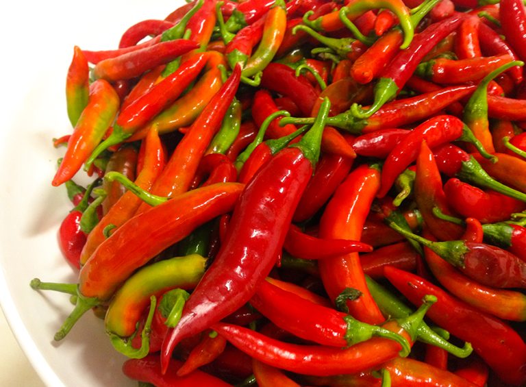 Salute, il peperoncino dimezza il rischio di morire di infarto