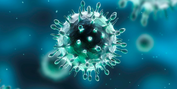 Coronavirus, secondo gli esperti ci vorrà almeno un anno per sperimentare il vaccino