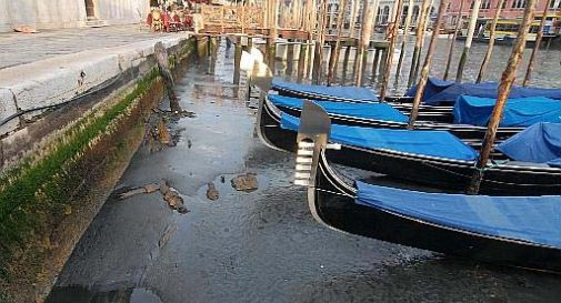 Venezia, arriva l’acqua bassa nella laguna (meno 50 centimetri)