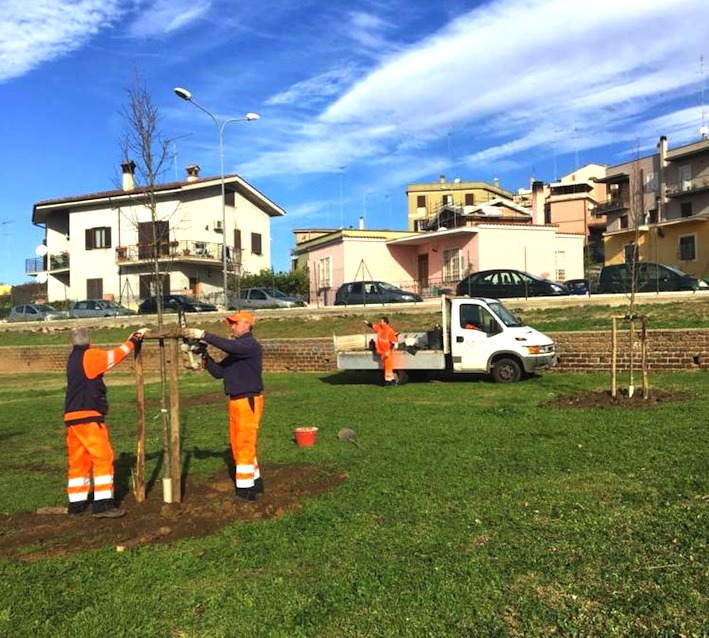 Multiservizi pubblica report attività su verde e illuminazione di agosto