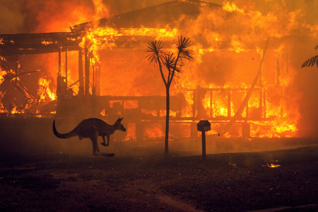 Australia, emergenza incendi: evacuate decine di migliaia di persone nel sud del Paese