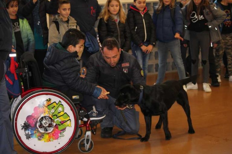 La Melone in visita al Centro di Coordinamentodei Servizi a Cavallo e Cinofili della Polizia