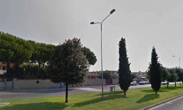 Ladispoli: via Firenze e viale Mediterraneo aree verdi da tutelare