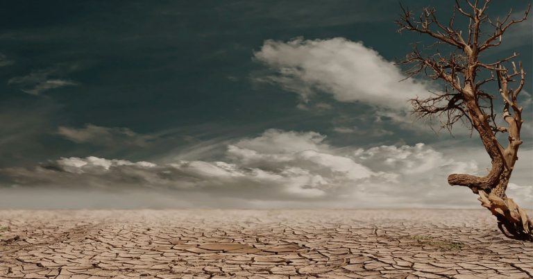 Ambiente, Google ‘memorizza’ le zone patrimonio dell’umanità messe in pericolo dai cambiamenti climatici