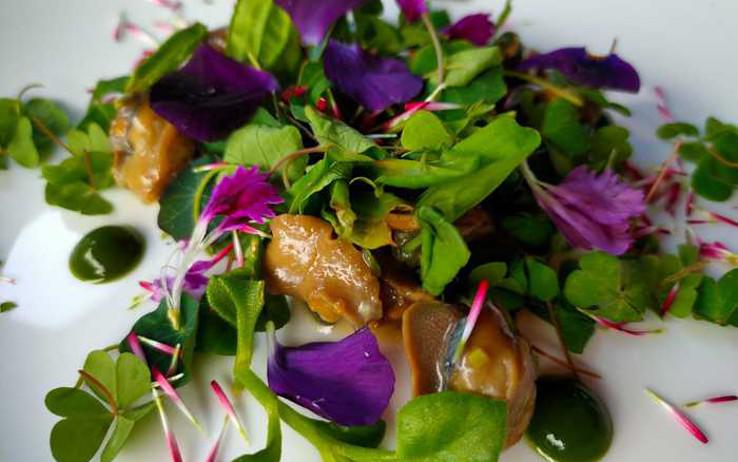 Bologna, nasce la ‘lumaca unica’, una versione gourmet di quattro chef emiliani-romagnoli