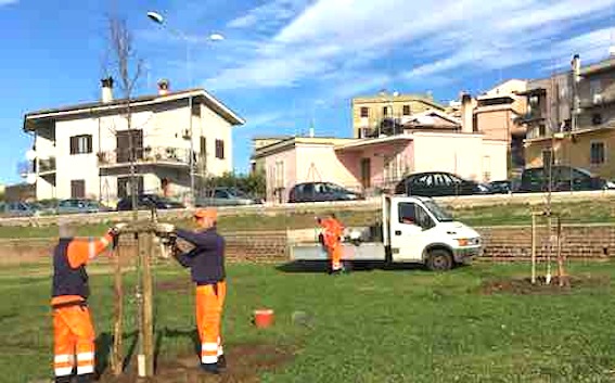 Multiservizi pubblica la programmazione degli interventi sul verde 12-16 aprile