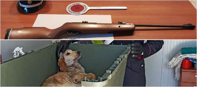 Castiglione di Sicilia (Catania), 60enne spara ad un cane perchè aveva fatto i bisogni davanti la sua sua casa
