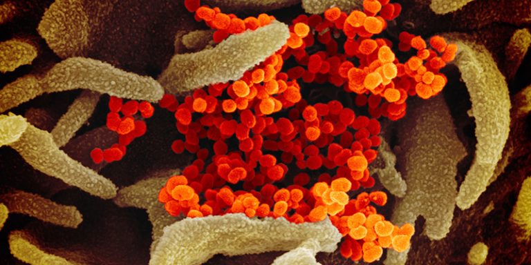 Coronavirus, ecco chi rischia di più: anziani e malati di patologie respiratorie