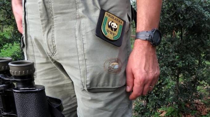 Caccia chiusa, scoperti a cacciare all’interno di una riserva naturale