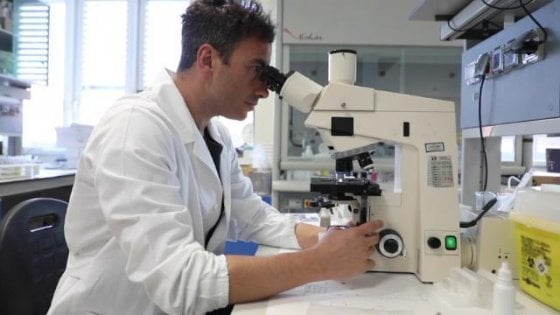 Coronavirus, al via le prime sperimentazioni negli Usa ma i tempi sono lunghi