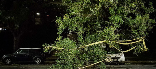 Colle Isarco (Bolzano), un uomo è stato travolto e ucciso dalla caduta di un albero