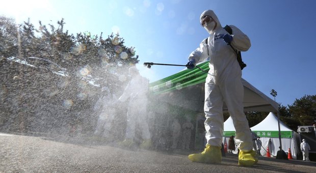 Coronavirus, in Austria è guarita una cittadina italiana di 24 anni